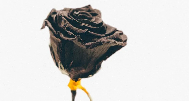 Что можно после смерти близкого?