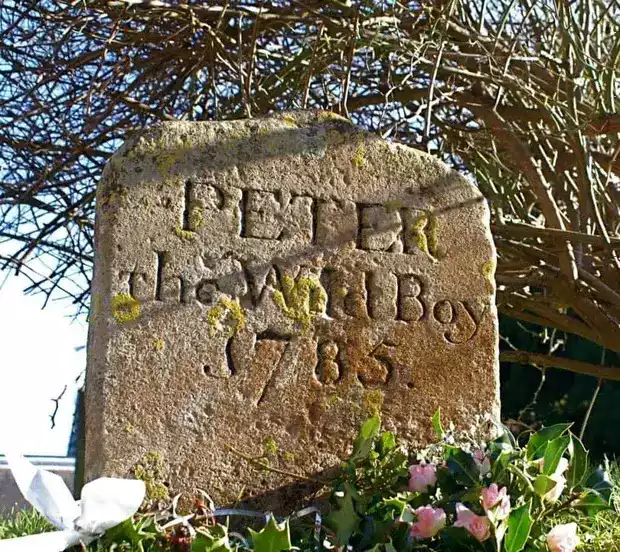 Дикий мальчик Питер